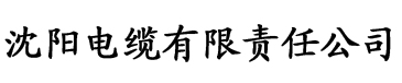 大香蕉视频免费在线电缆厂logo